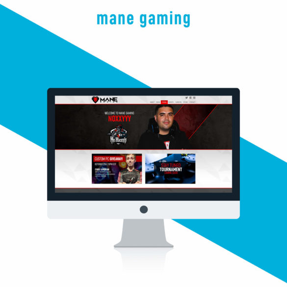 Elevato Media web developer, website design